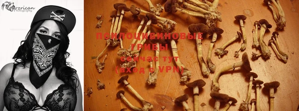 герыч Осинники