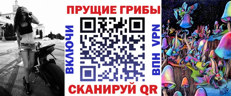 цены   Красный Кут  Псилоцибиновые грибы Cubensis 